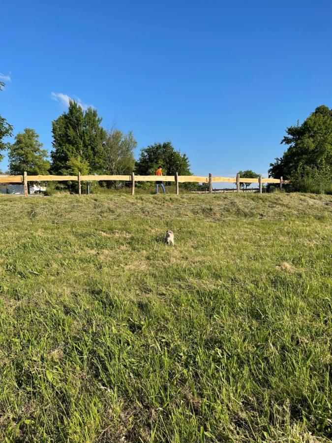 Naturnahes, Neu Moebl.Apartment, Hundefreundlich Neu Gaarz Exterior foto